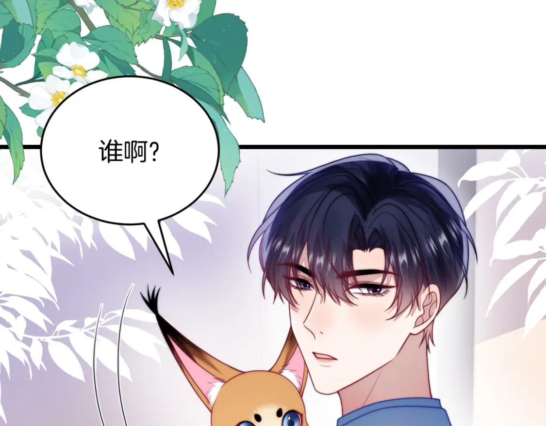 第77话 贴贴猫猫65