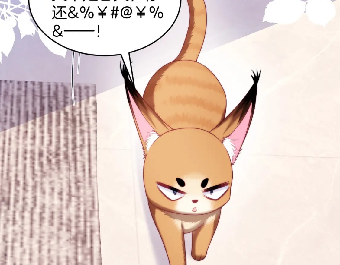 第77话 贴贴猫猫59