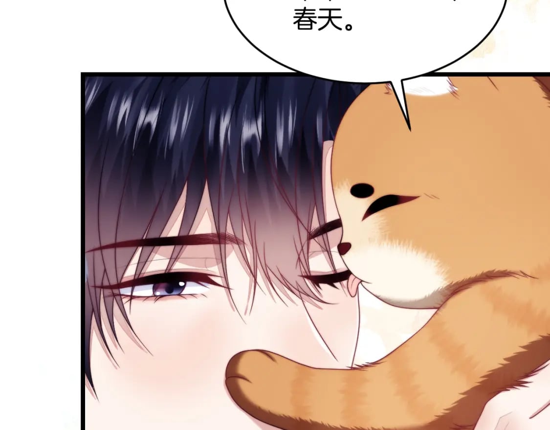 第80话 猫的爱很简单60