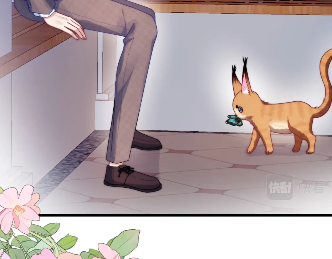 第80话 猫的爱很简单51