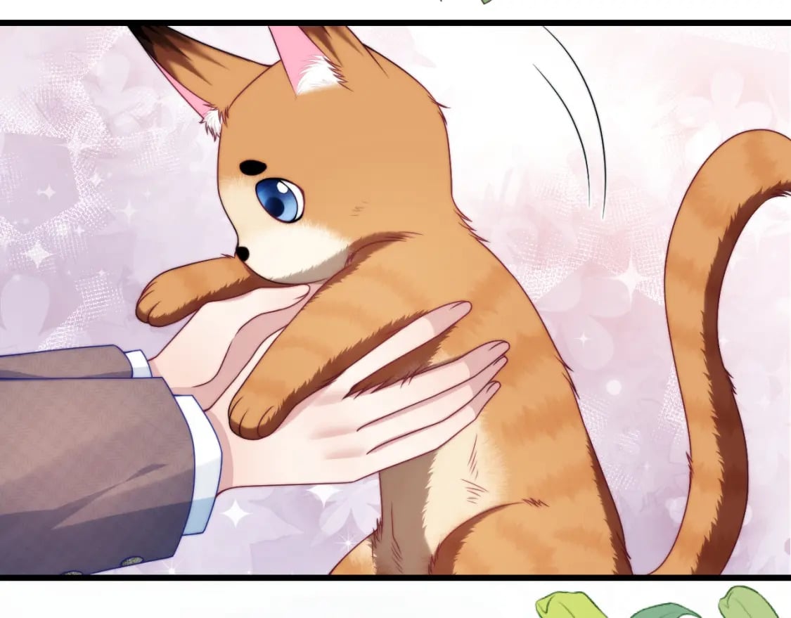 第80话 猫的爱很简单54