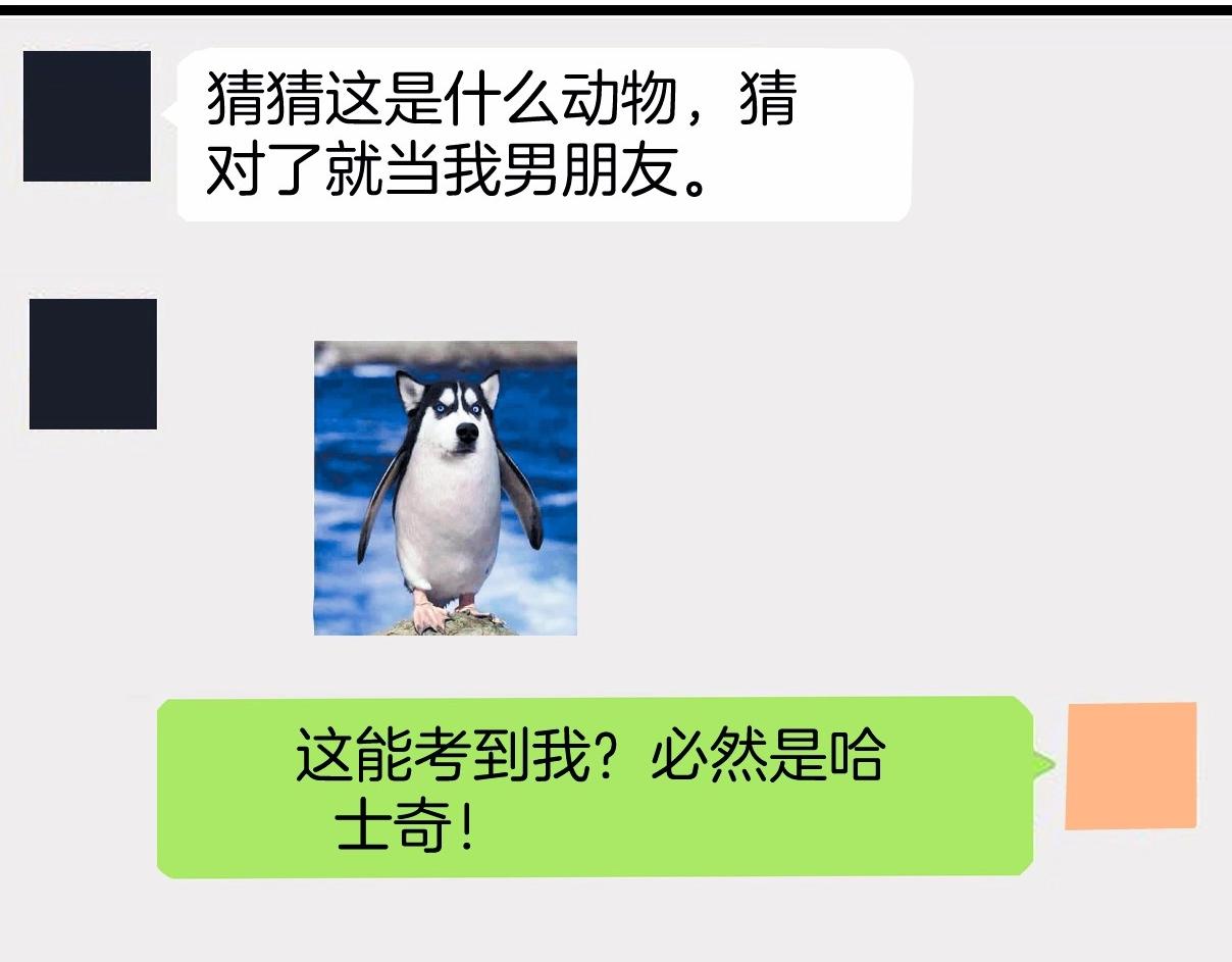 第4话 恶作剧大赛94