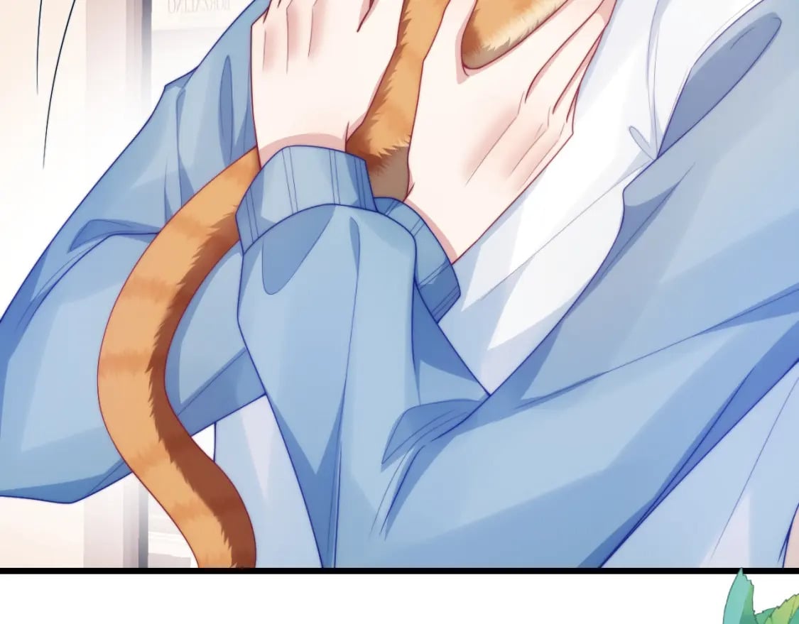 第77话 贴贴猫猫62