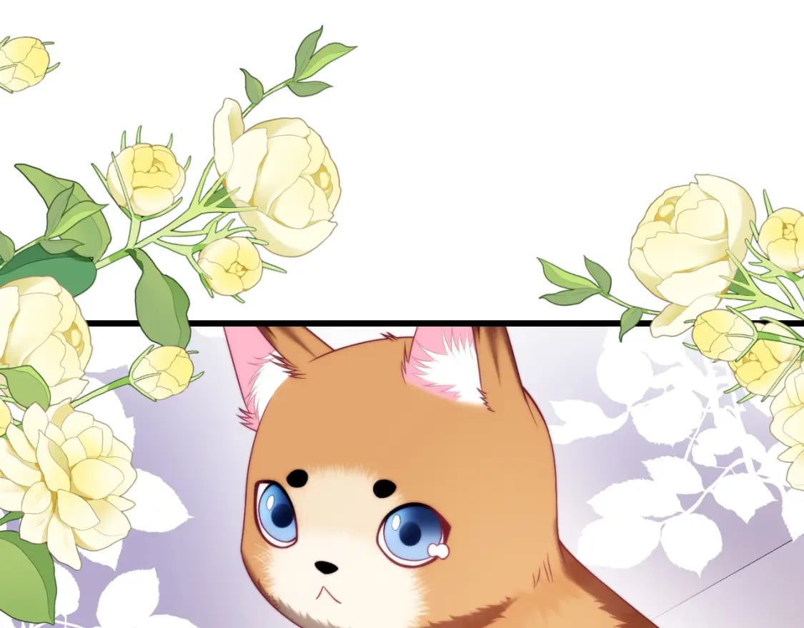 第80话 猫的爱很简单24