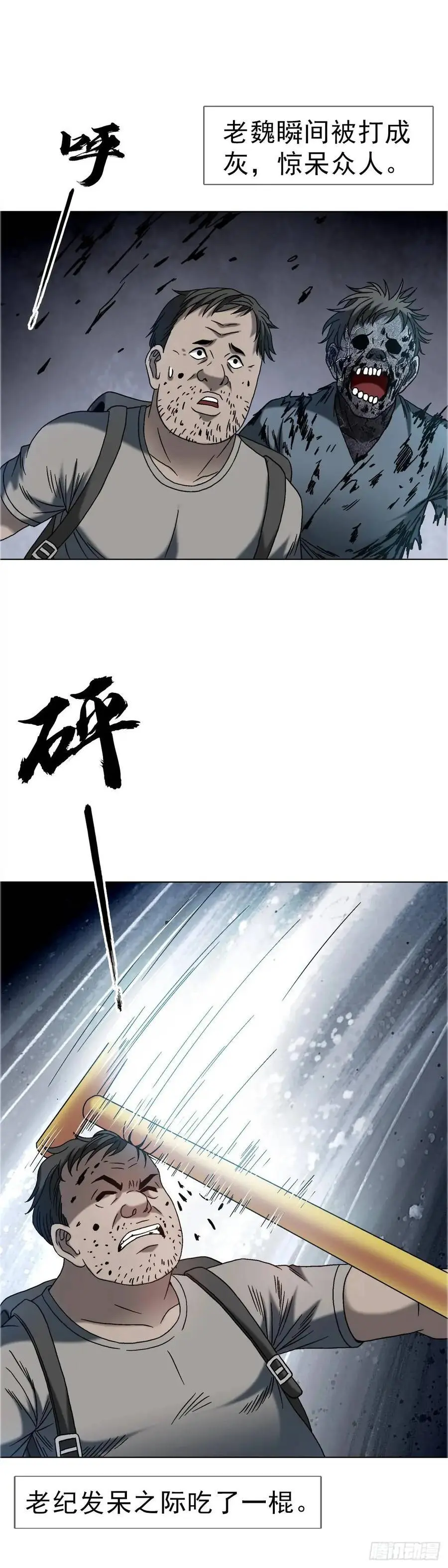 1575 老玉米23