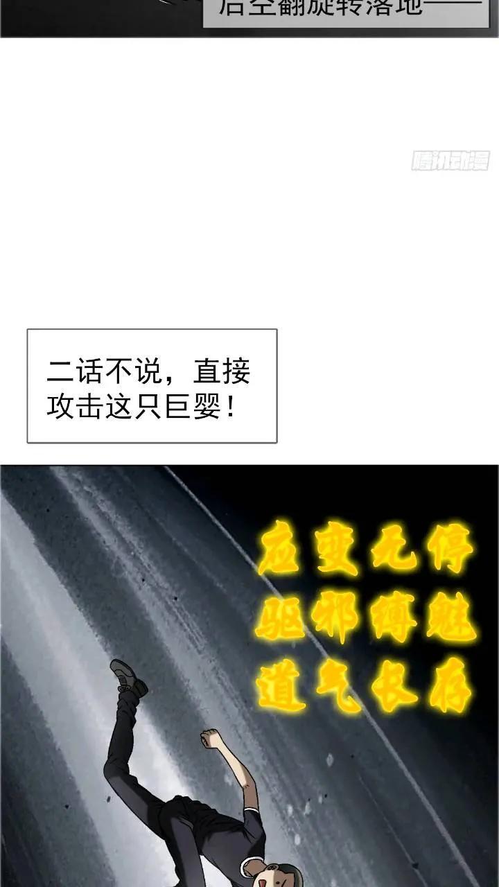 1560 四大金刚74