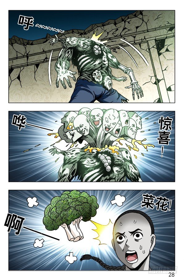 636 菊花与菜花5