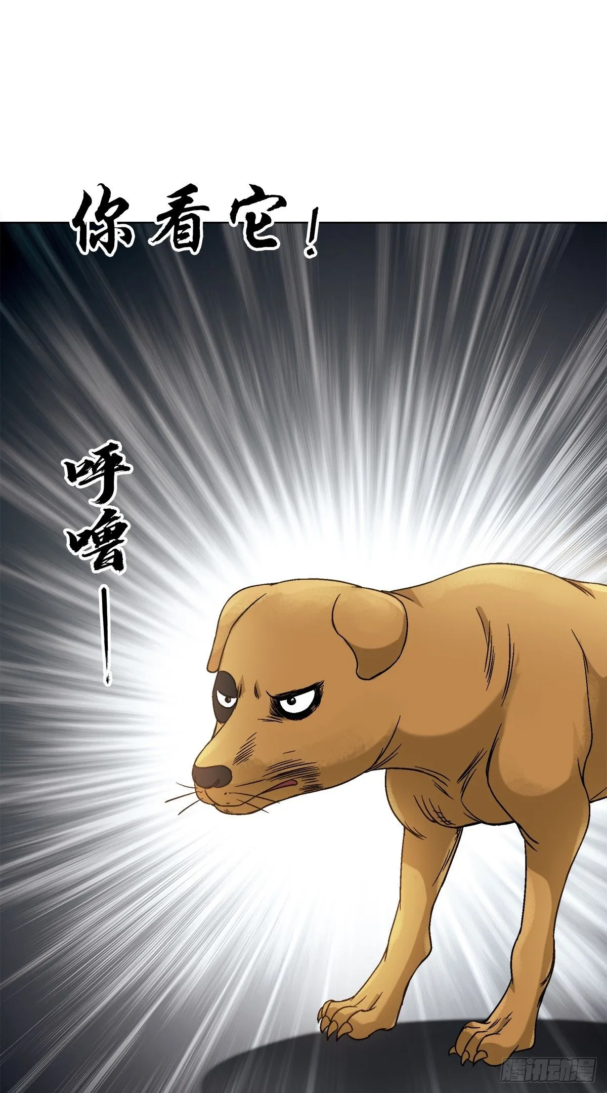 1541 手术成功2
