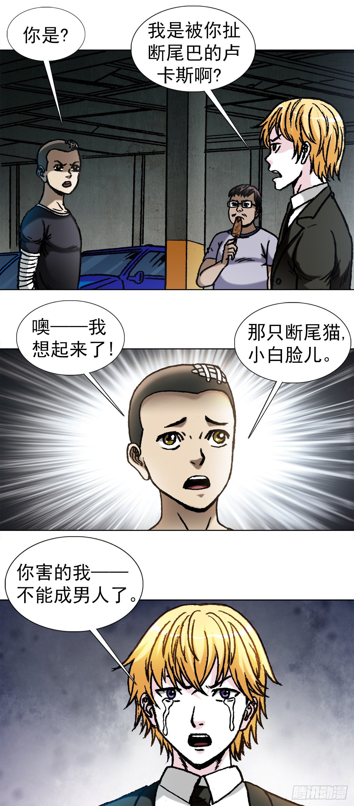 1057 猫三狗四5