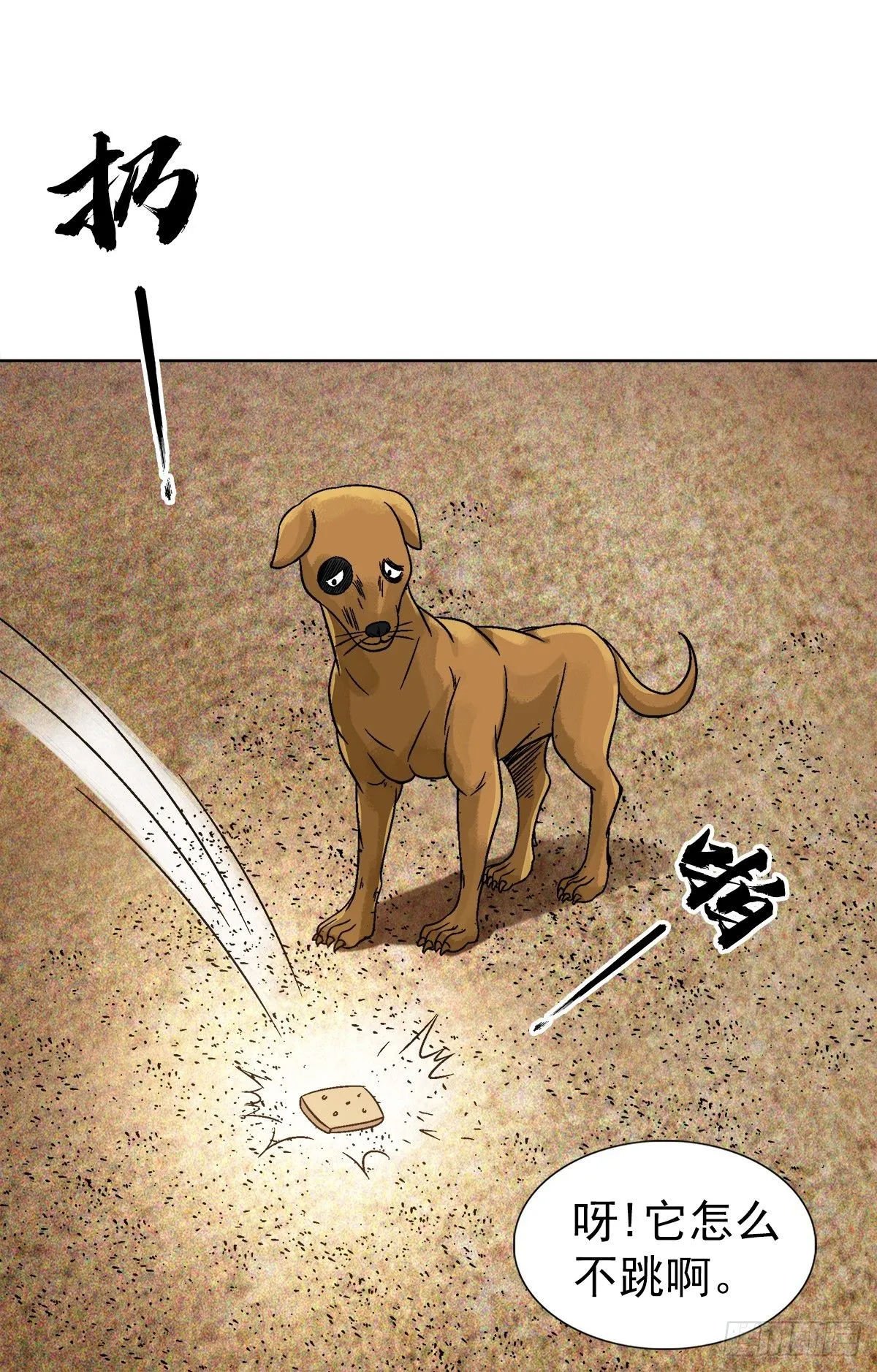 1537 土狗5