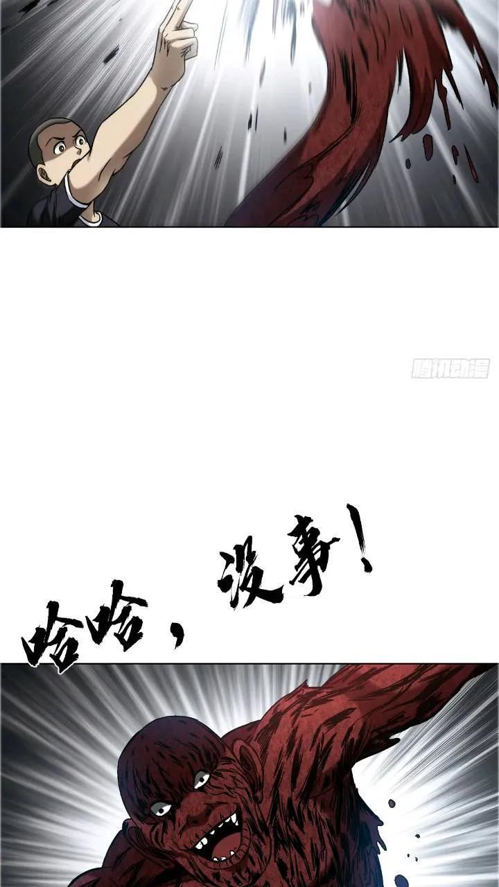 1560 四大金刚4