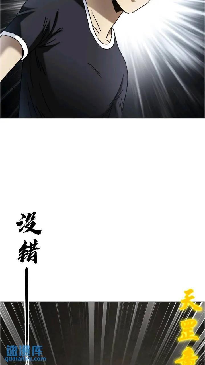 1560 四大金刚38