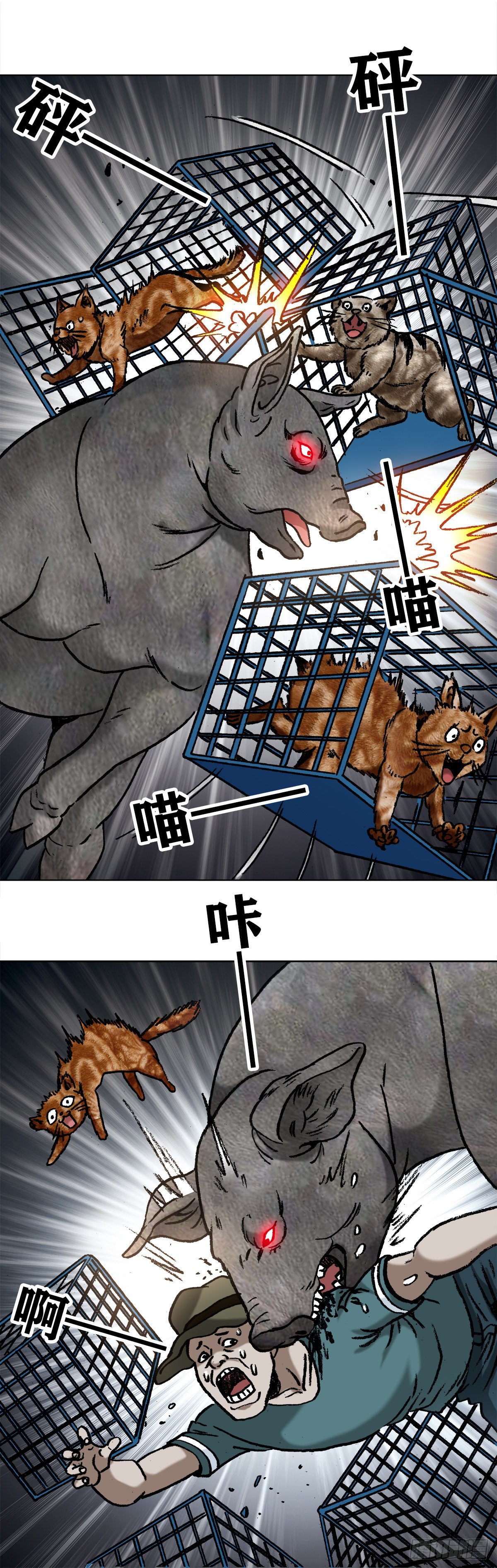 1030 大黑猪6