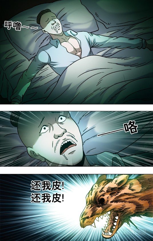 854 貂皮大衣8