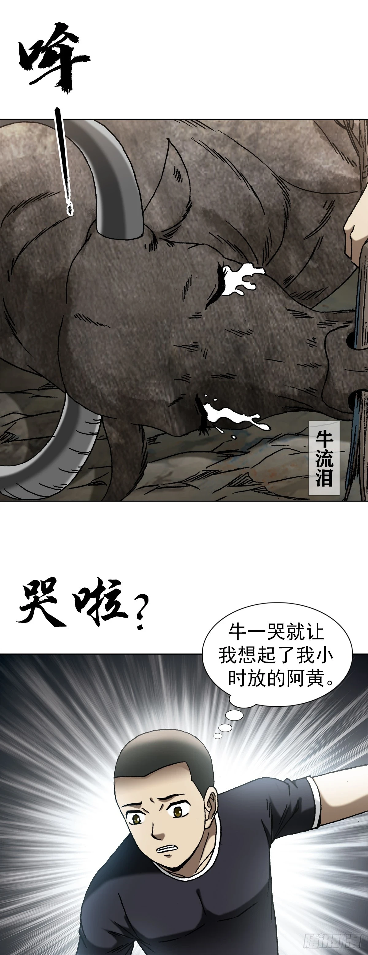 1455 王小二放牛13
