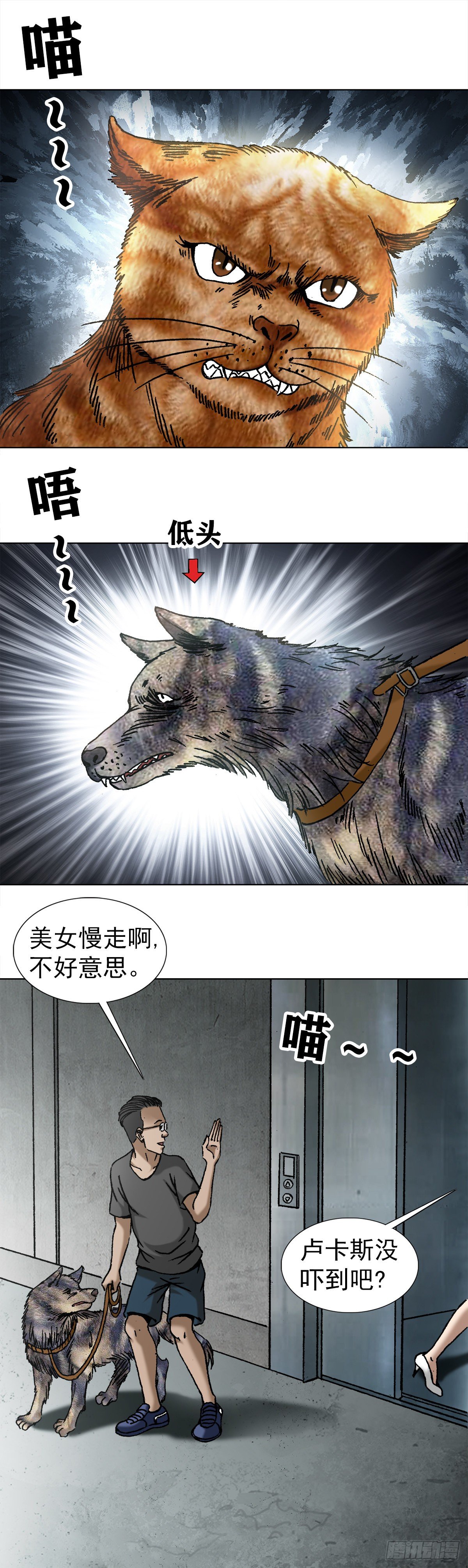 1020 小奶狗3
