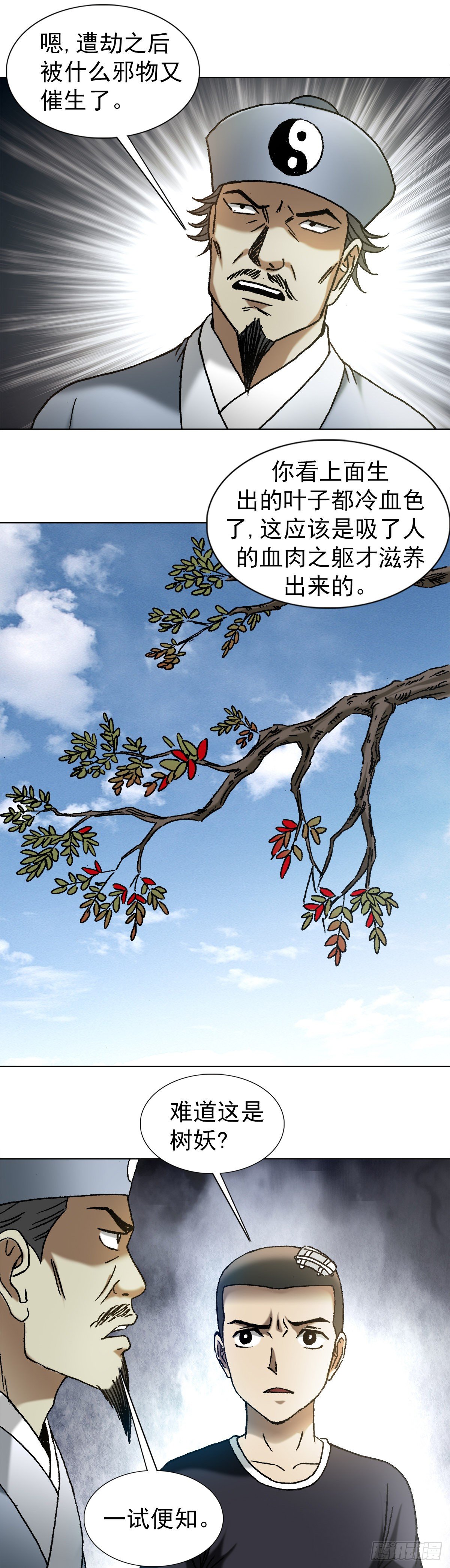1149 老槐树8