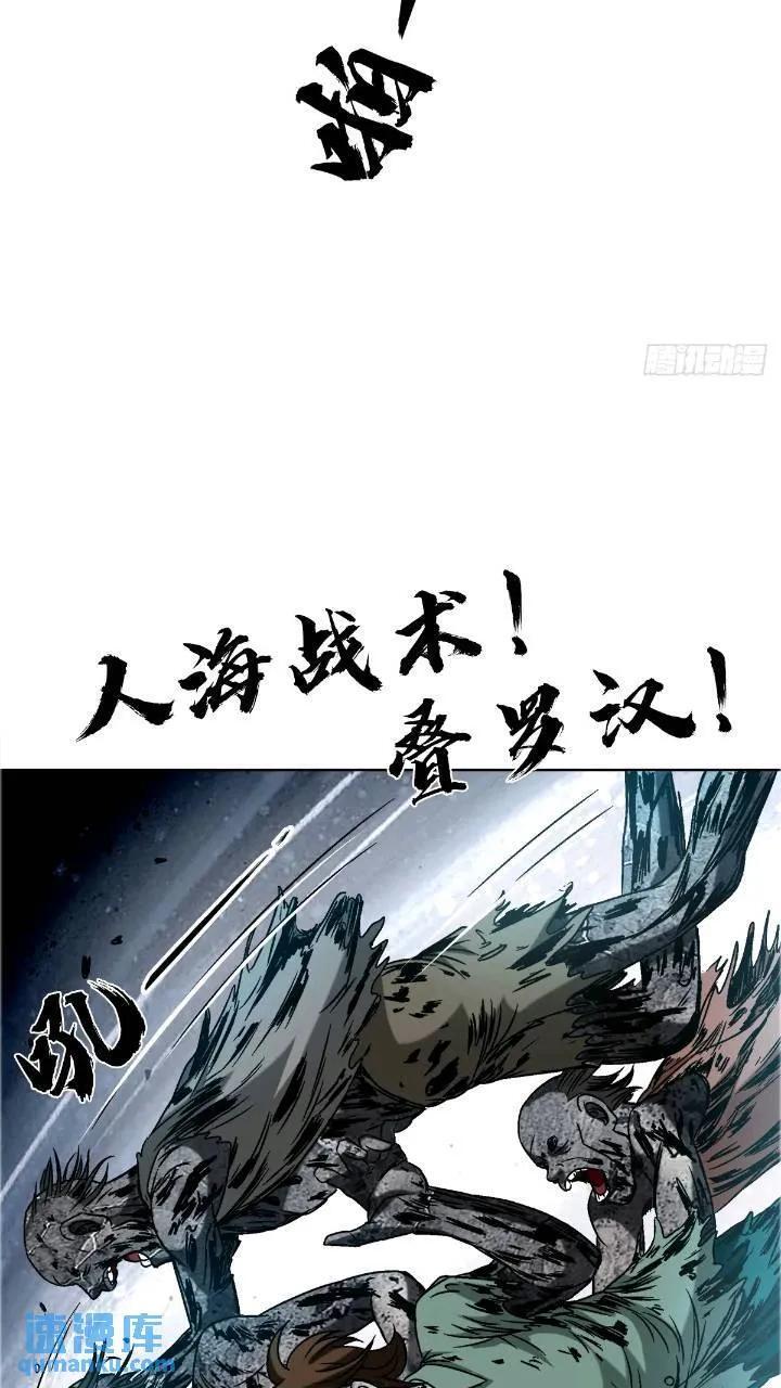 1560 四大金刚7