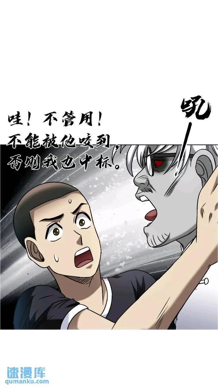 1560 四大金刚68