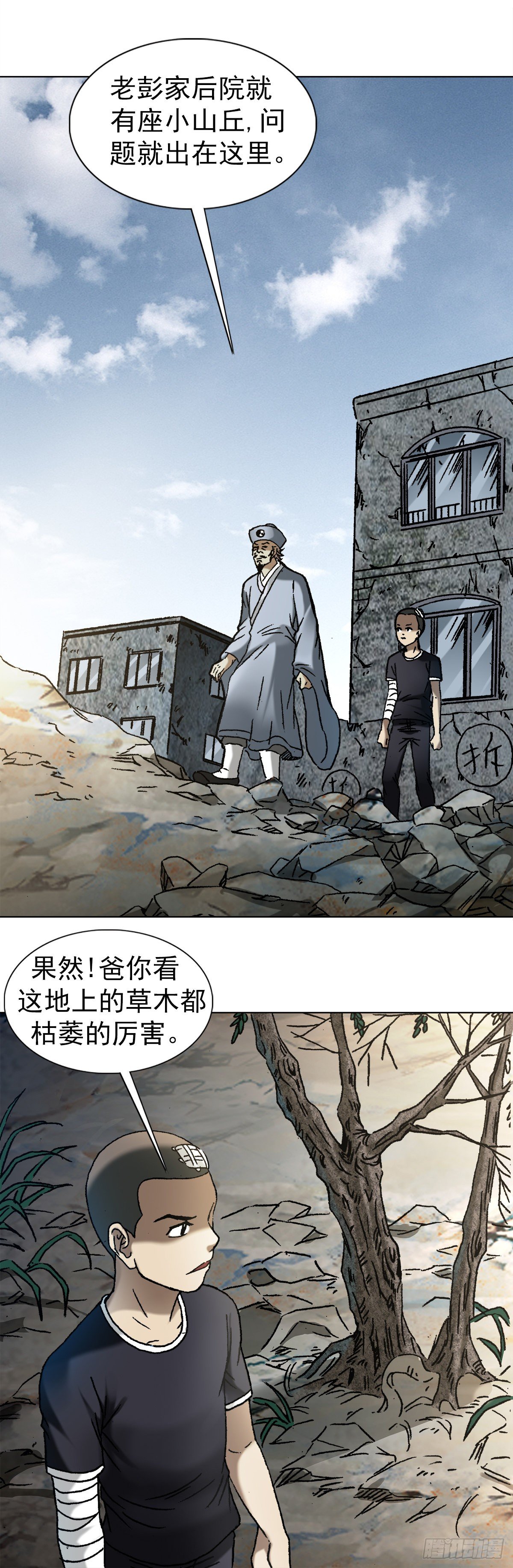 1149 老槐树5