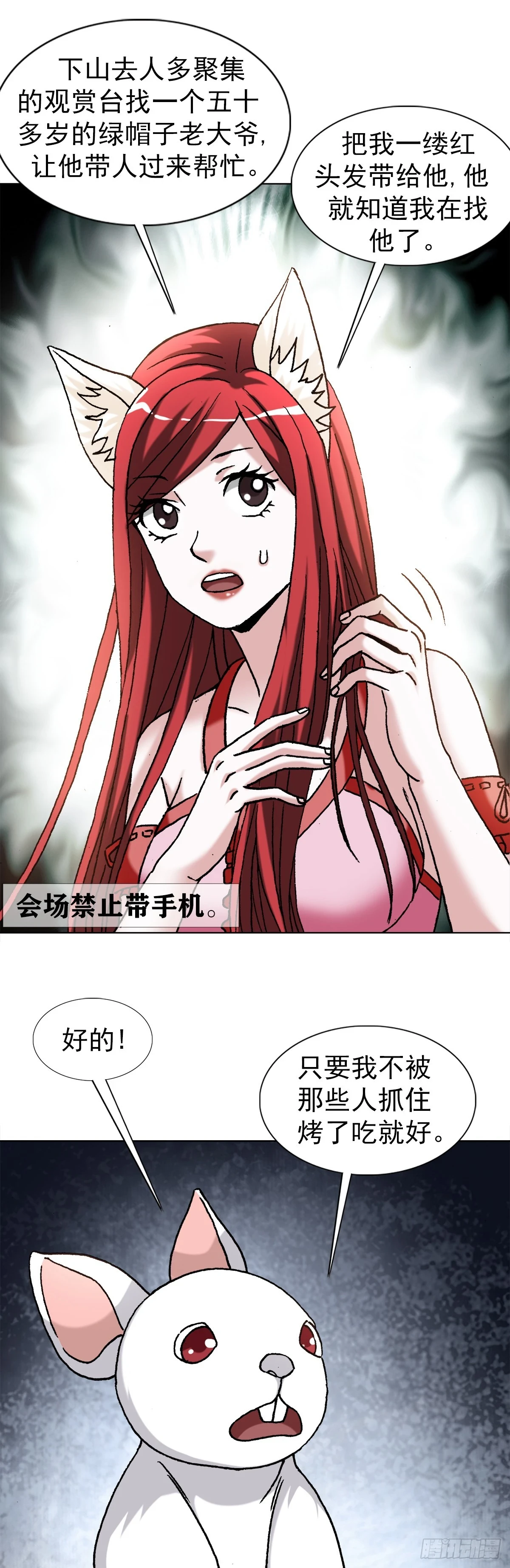 1441 小白兔白又白5