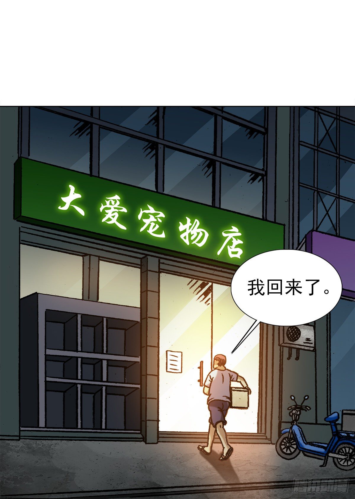 1029 宠物店8