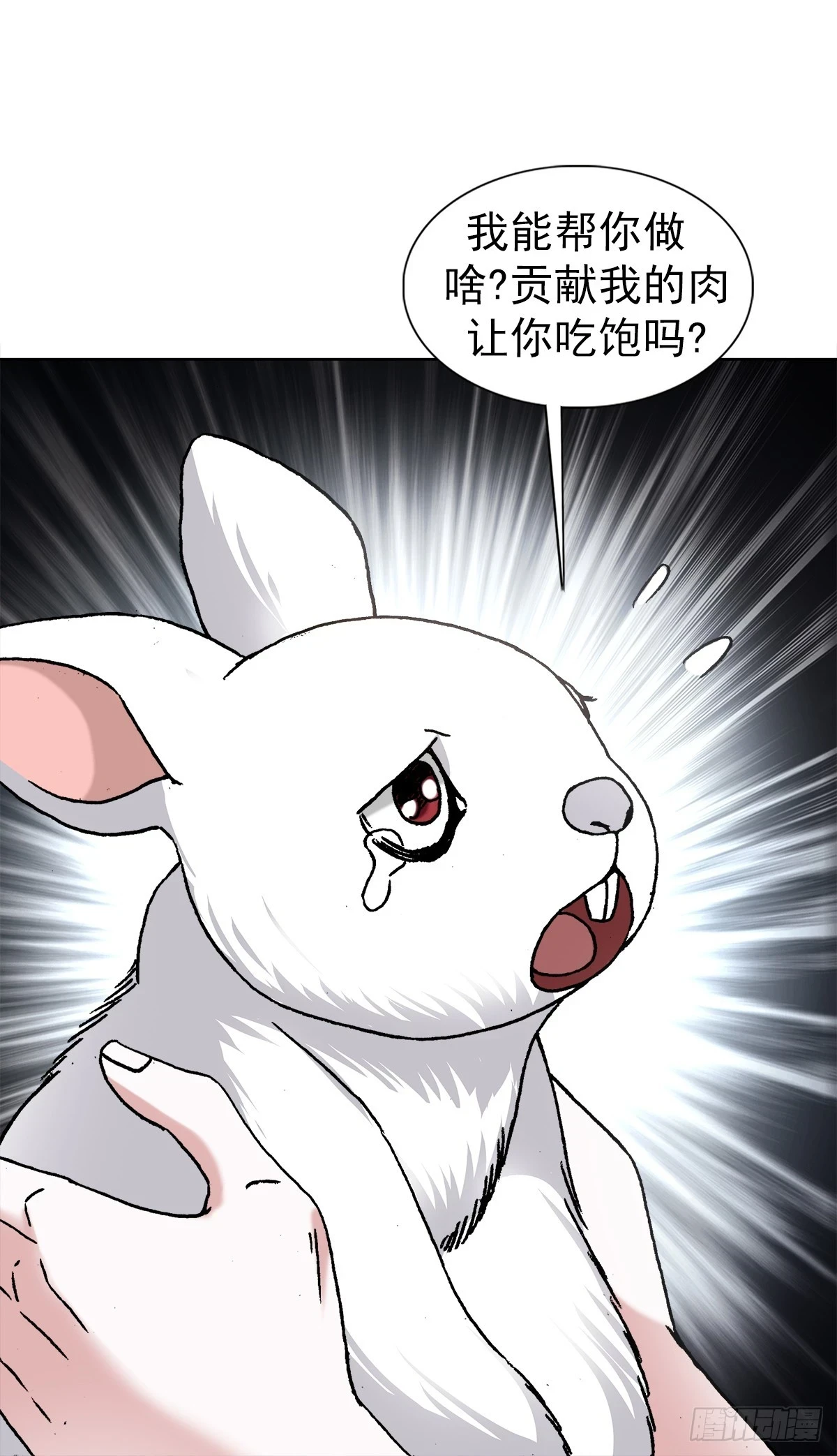 1440 小兔子乖乖22