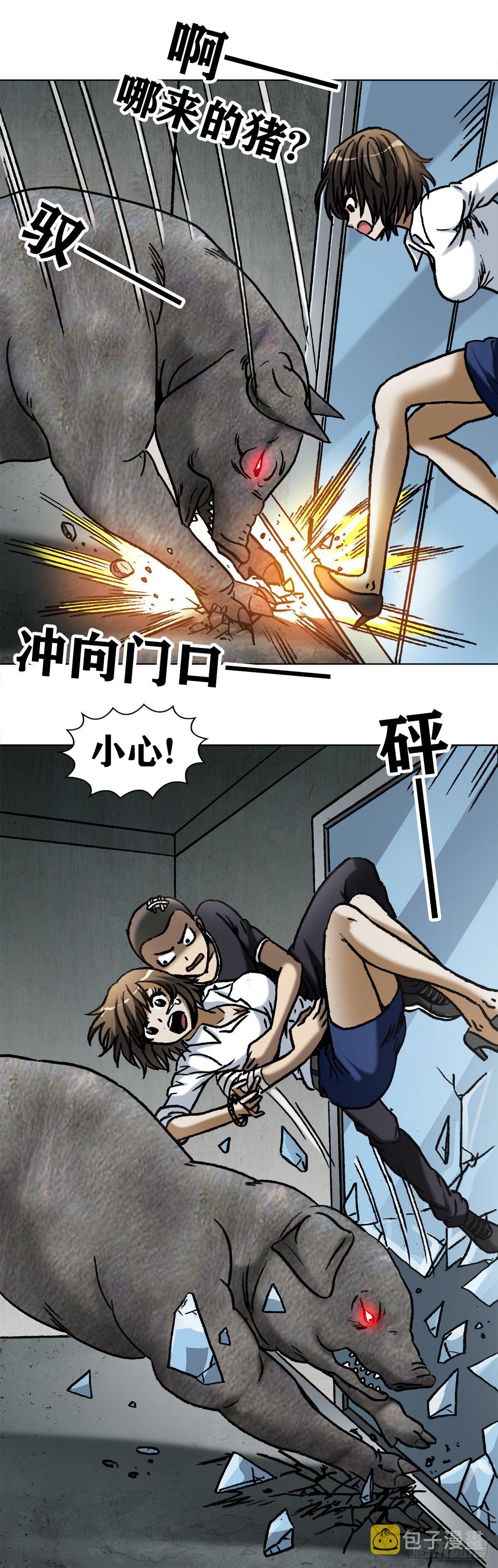 1030 大黑猪8