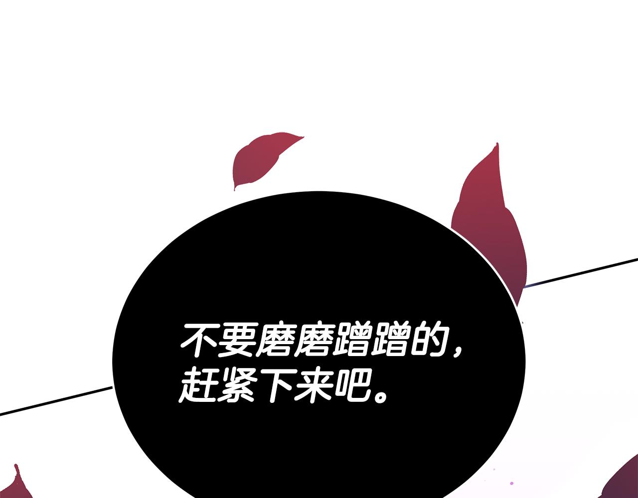 第108话 摇摆不定195