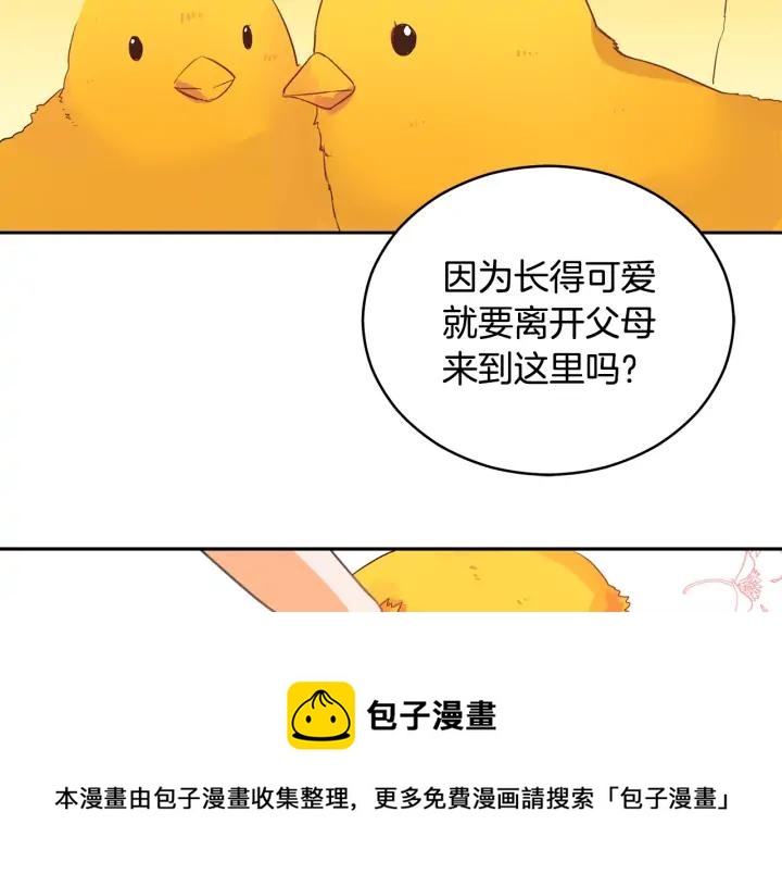 第31话 你买过男人吗？72