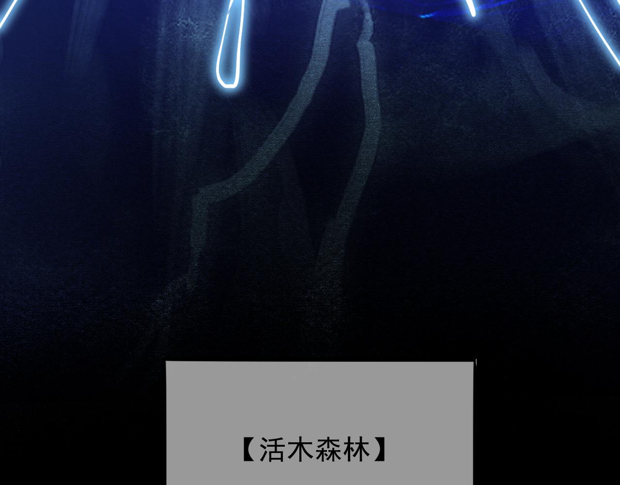 第27话 【活木森林】67