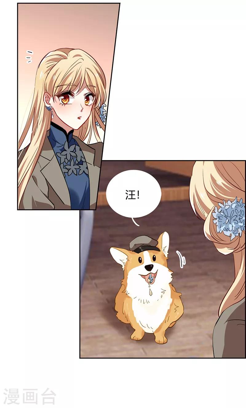 第251话18