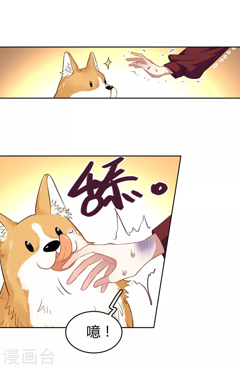第251话5