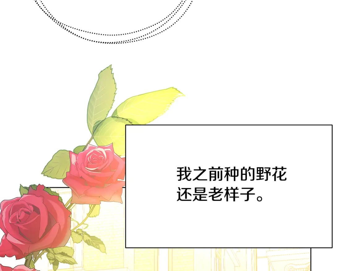 第二季完结篇 “故地重游”71