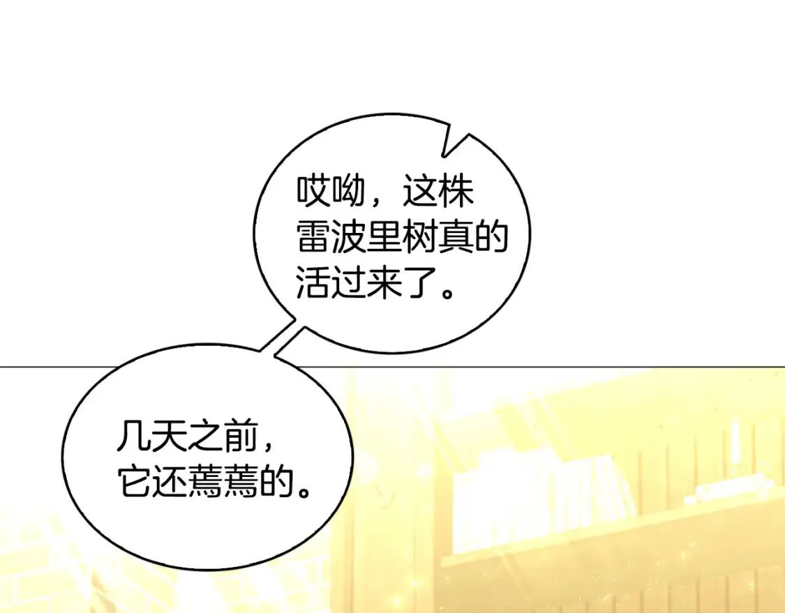 第34话 幸福的生活40