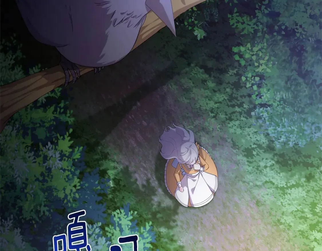第1话 初次相遇5