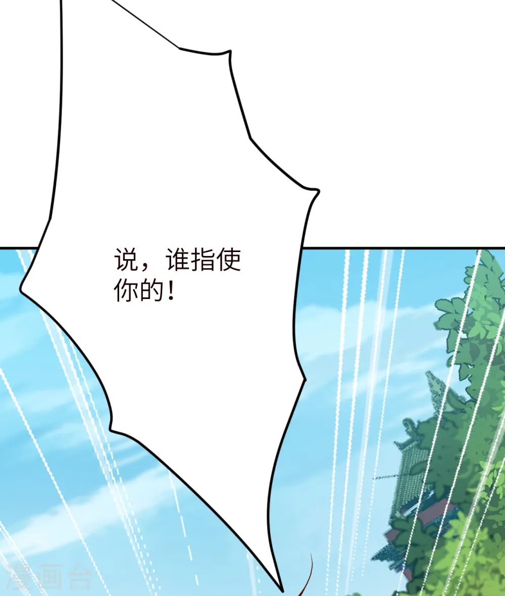 第344话 幕后主使18
