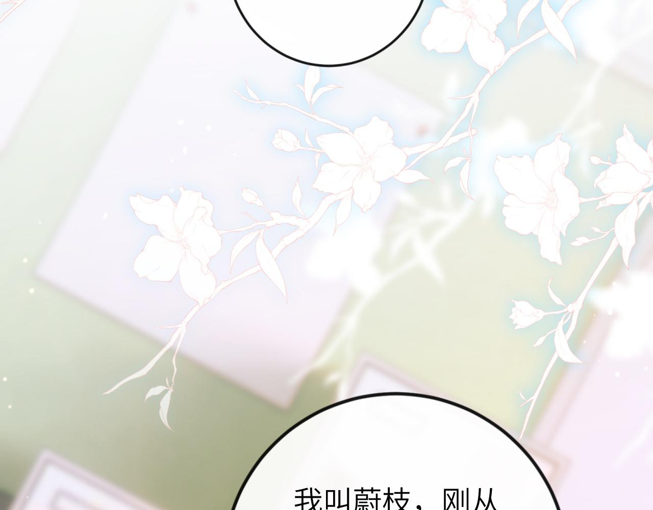 第3话 毛绒控请求rua毛毛！11