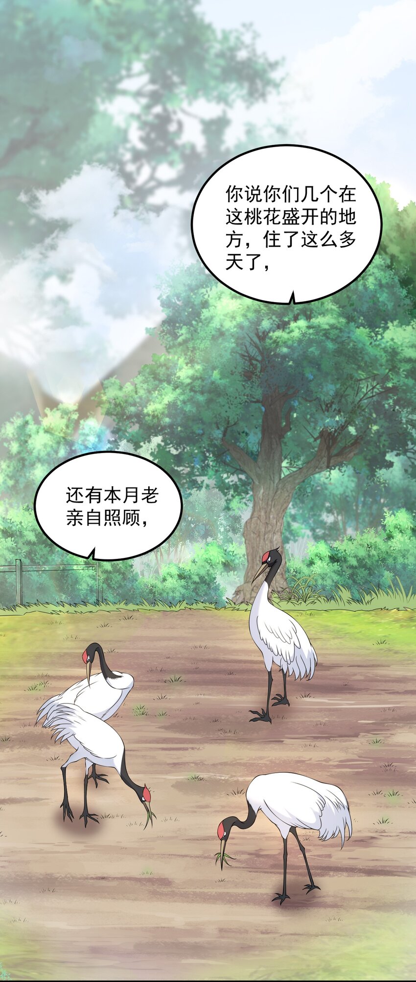 5 第5话43