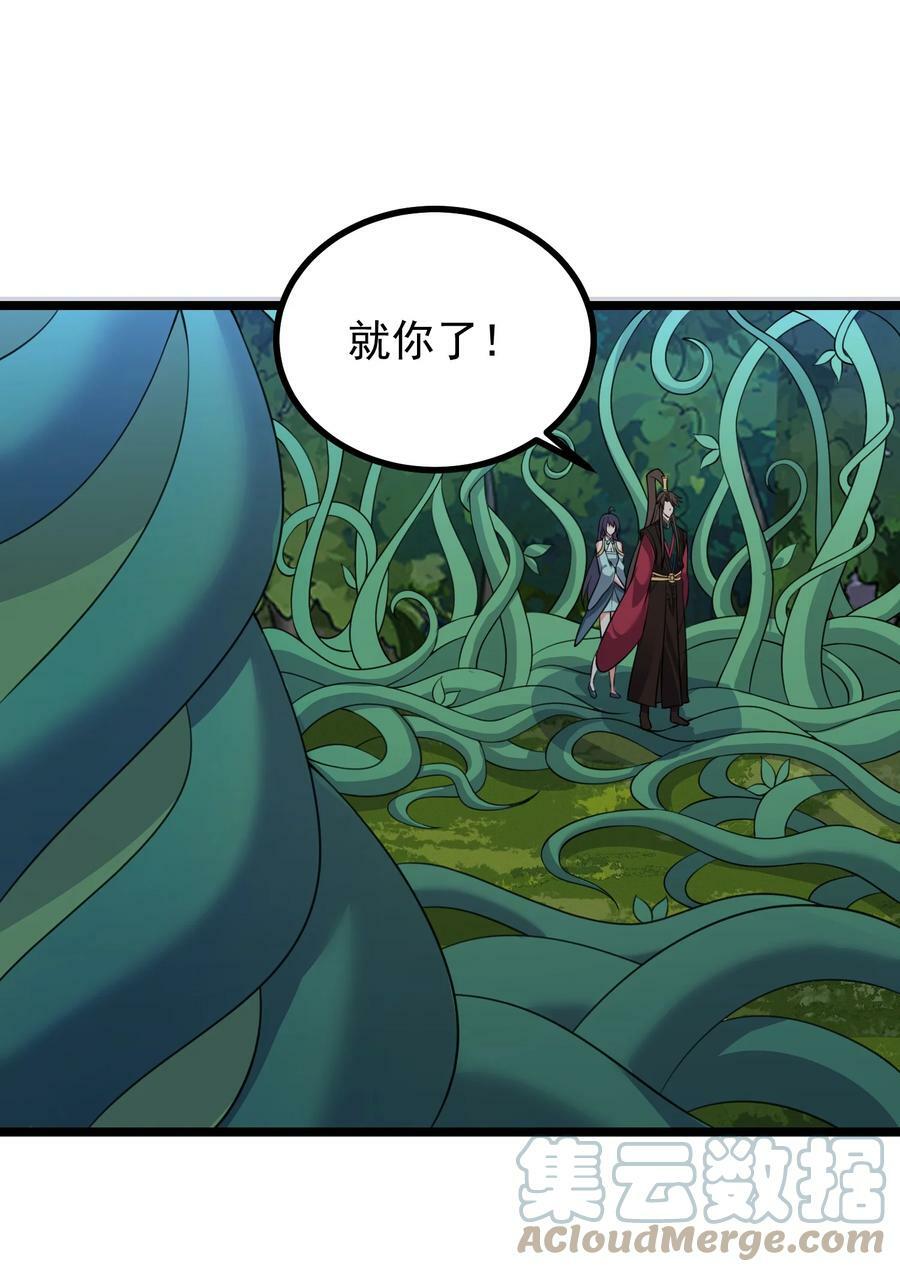 181 蔓藤海51
