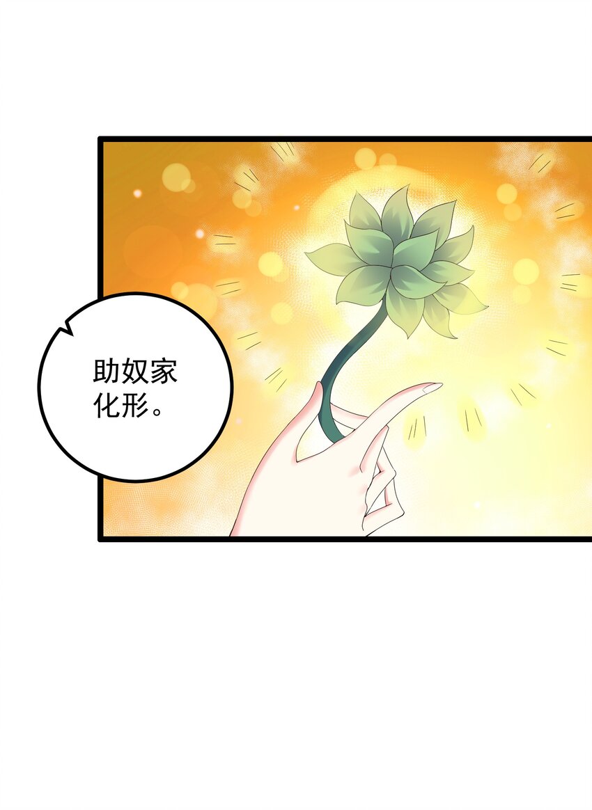 167 莲雅柔33