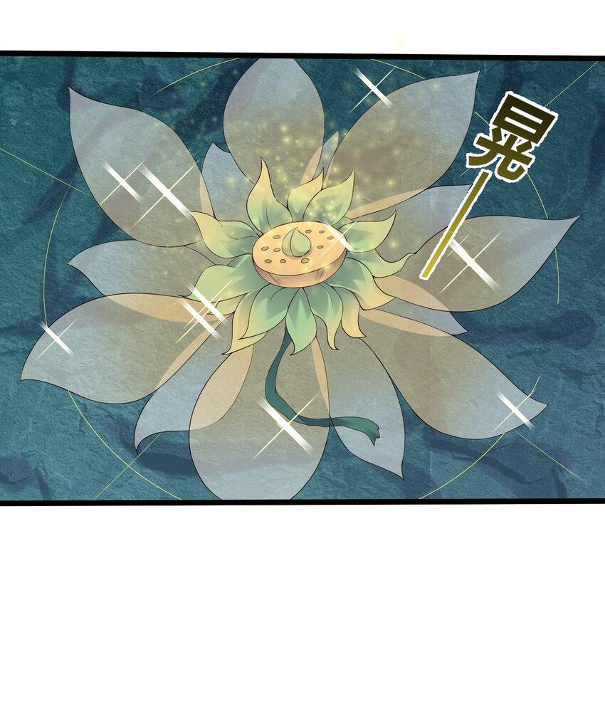 167 莲雅柔28