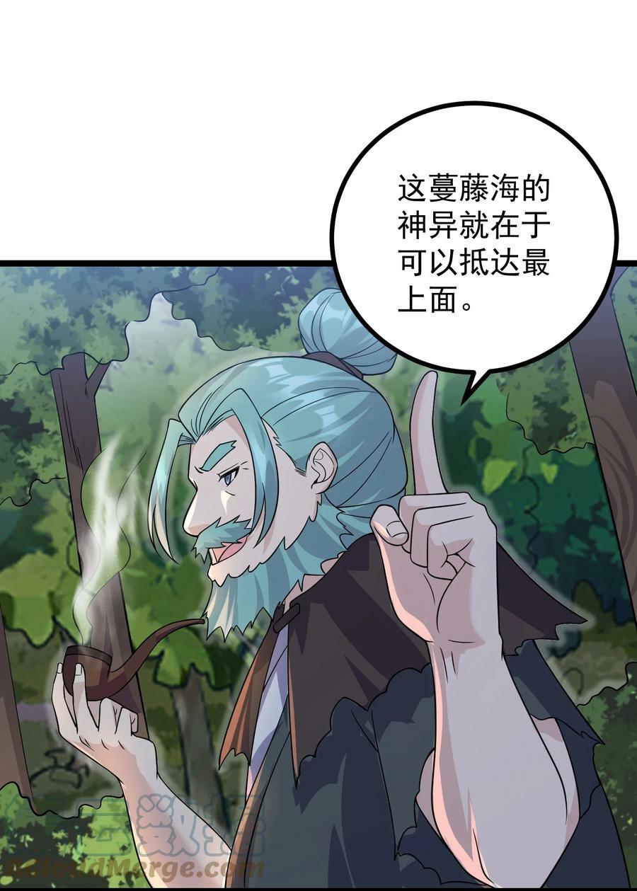 181 蔓藤海27