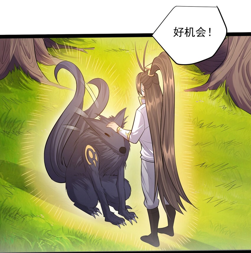 025 有其主必有其宠物12