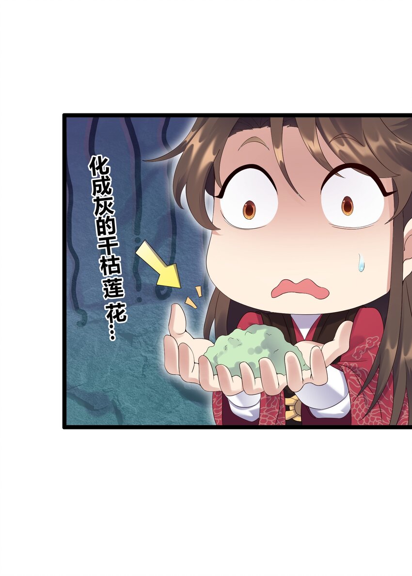 167 莲雅柔35