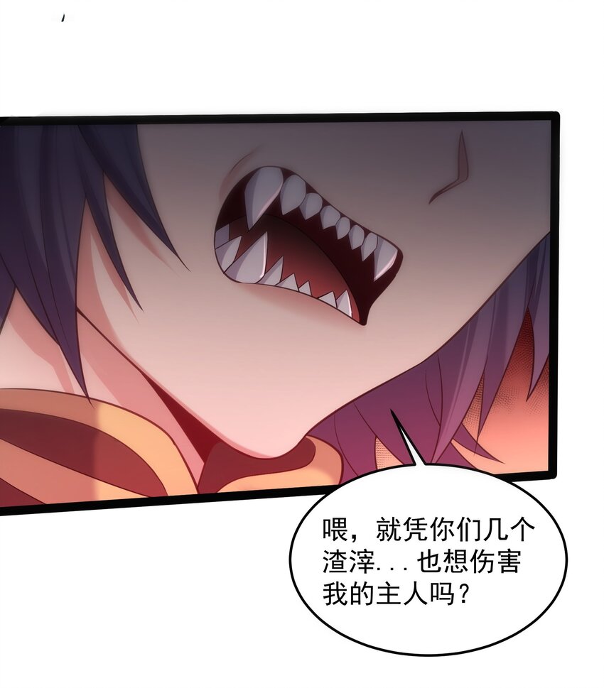025 有其主必有其宠物19