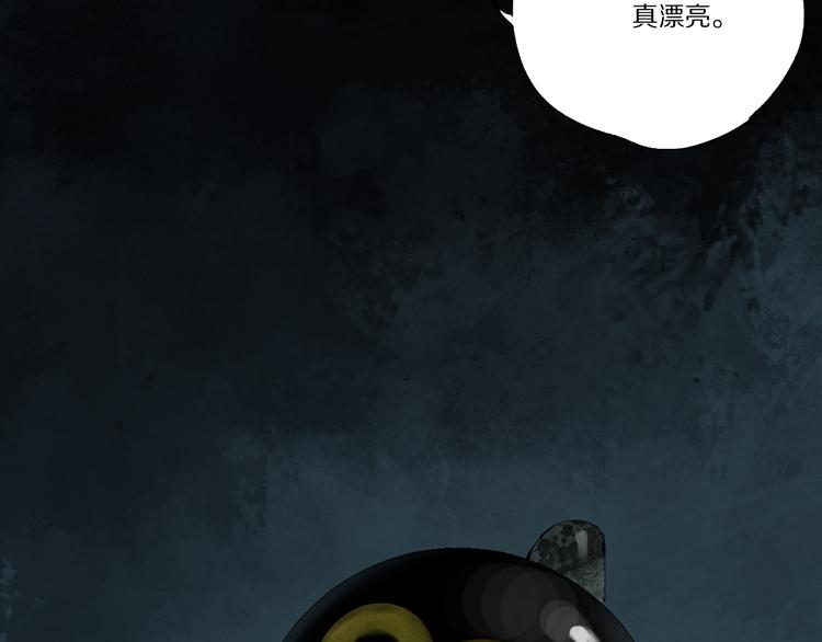 第78话 术114
