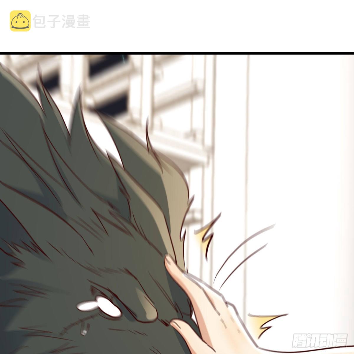 兽魂宗30