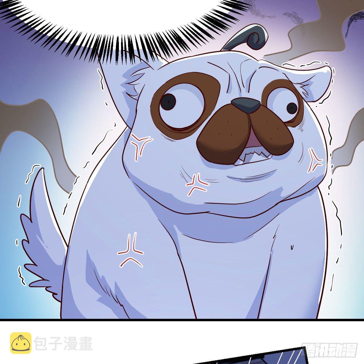 变大了！12