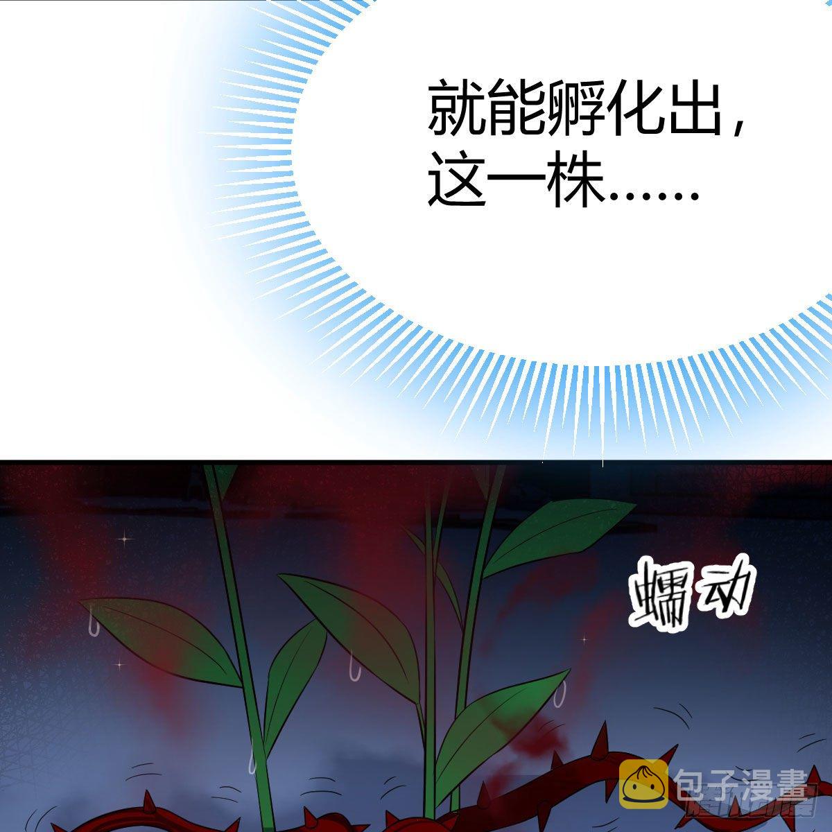 鬼血藤50